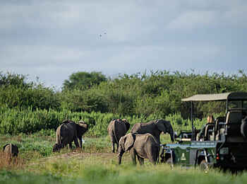 Laba Siwandu Camp: Elefantenbeobachtung bei einer Pirschfahrt