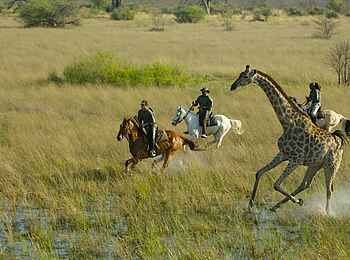 Macatoo Camp: Ausritt in Begleitung