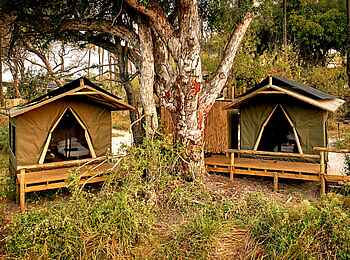 Oddball's Camp: Familienzelt Oddball's Camp: Familienzelt
