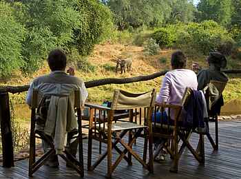 Pafuri Camp: Wildbeobachtung Camp