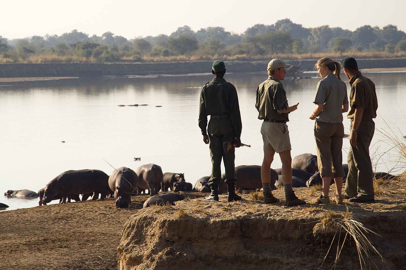 Robin Pope Safaris: Beobachtung von Nilpferden Robin Pope Safaris: Beobachtung von Nilpferden