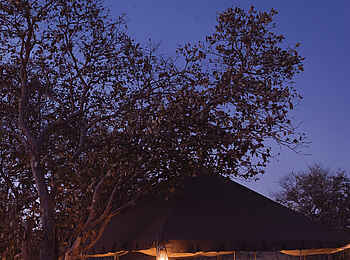 Savute under Canvas: Dinner unter freiem Himmel