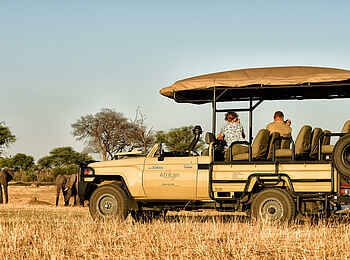 Somalisa Expeditions Camp: Auf Pirschfahrt