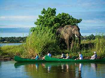 Tembo Plains Camp: Auf Kanu Safari