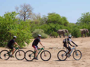 Tuli Safari Lodge Mashatu: Bike Safari