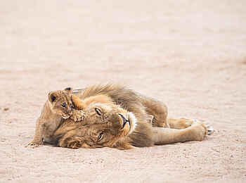 Chikwenya Camp: Spiel zwischen Mutter und Kind