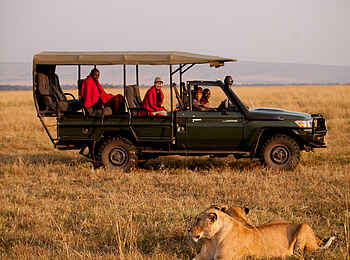 Sentinel Mara Camp: Zwei Löwen