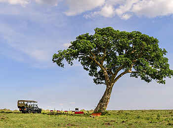 Angama Safari Camp: Game Drive