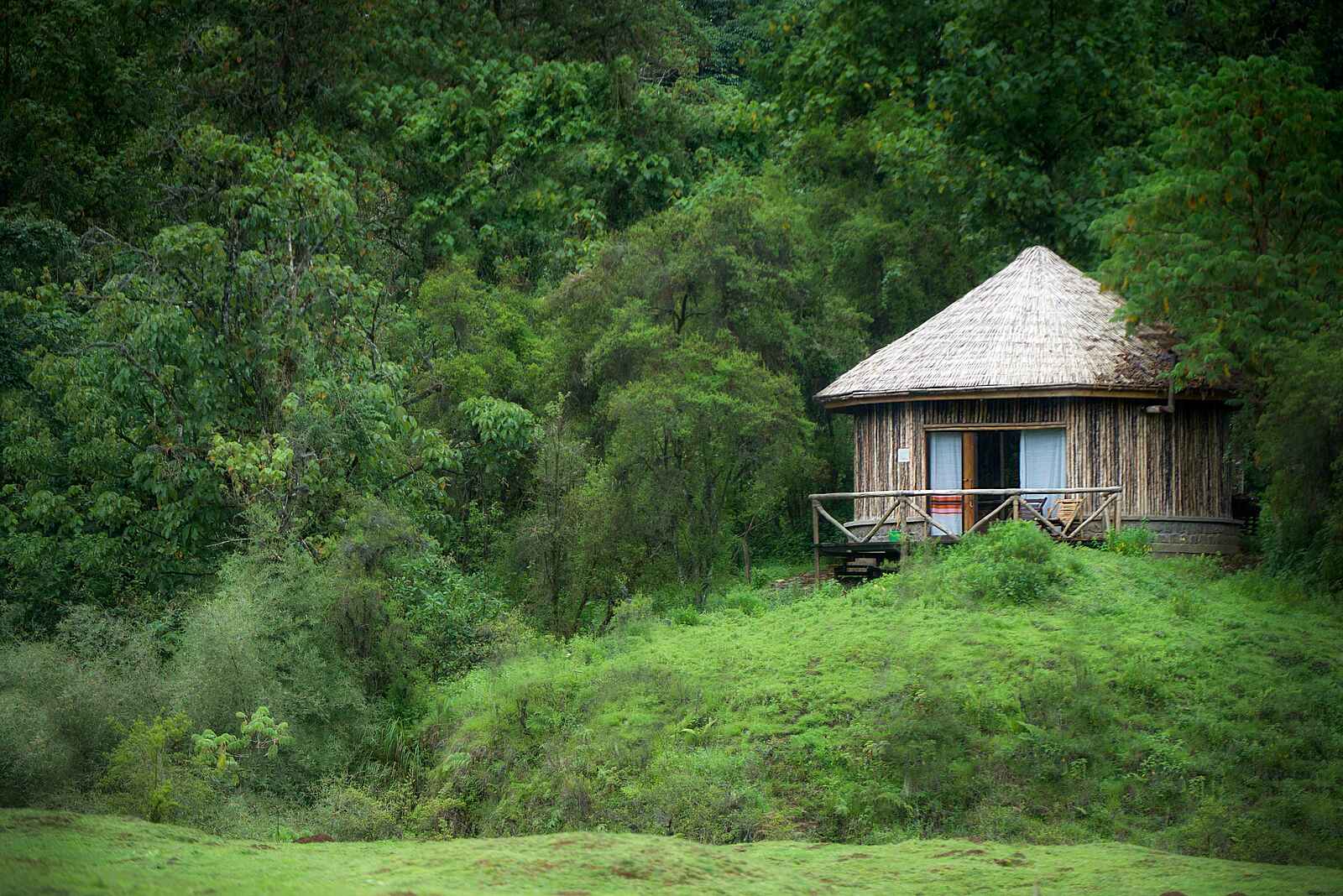 Bale Mountain Lodge: Rundhütte im Wald Bale Mountain Lodge: Rundhütte im Wald