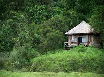 Bale Mountain Lodge: Rundhütte im Wald Bale Mountain Lodge: Rundhütte im Wald