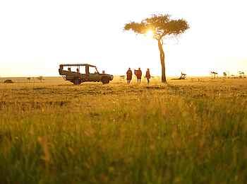 Basecamp Wilderness: Pirschfahrt Basecamp Wilderness: Pirschfahrt