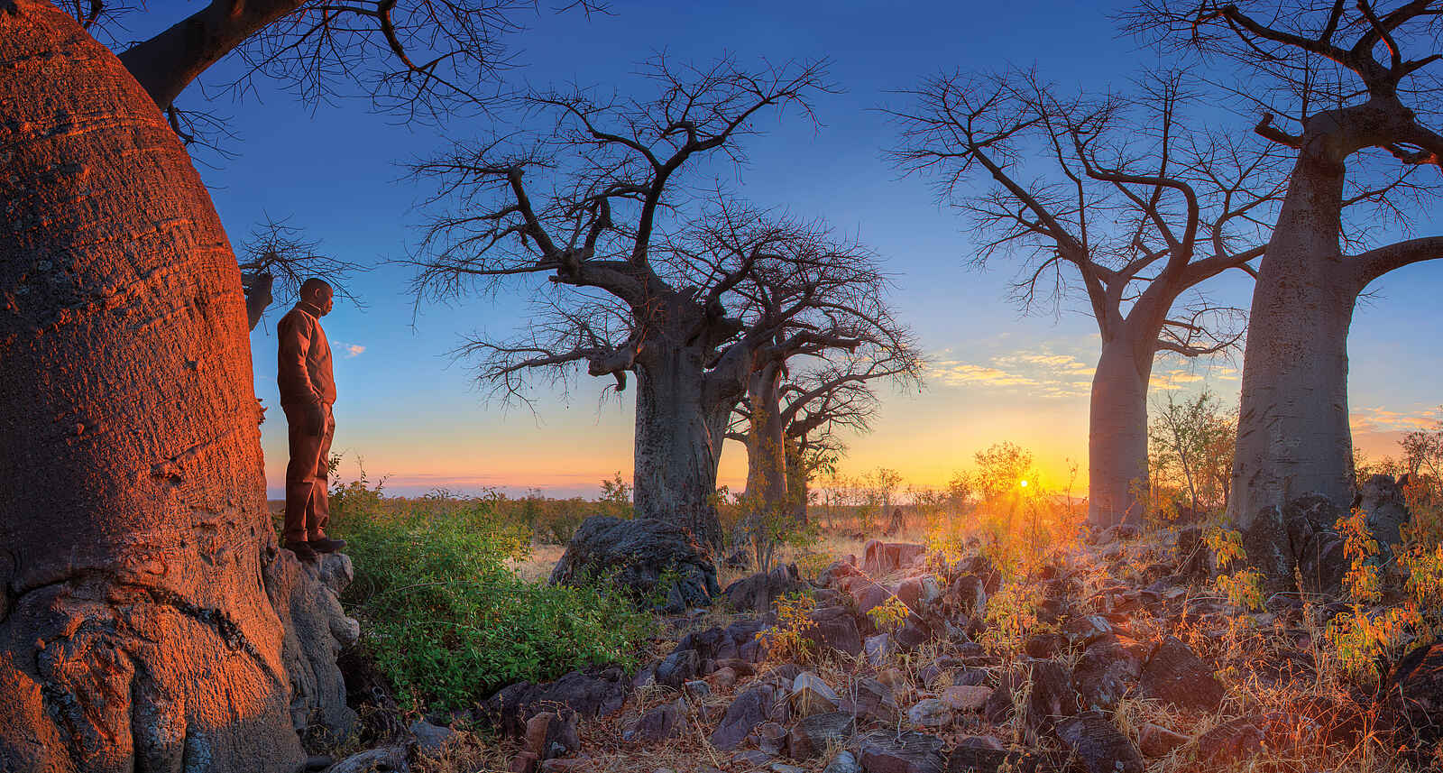Belmond Savute Elephant Lodge: Sonnenuntergang Belmond Savute Elephant Lodge: Sonnenuntergang