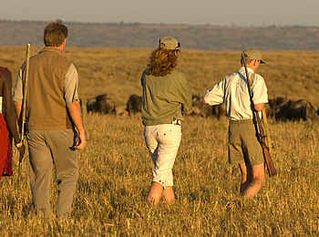 Governors' Camp: Auf Safari Governors' Camp: Auf Safari