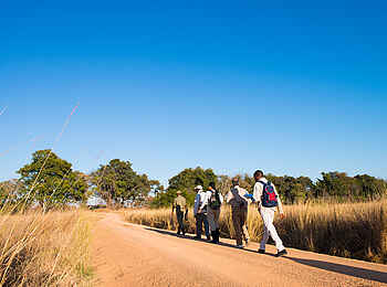 Mukambi Safari Lodge: Guided Walk Mukambi Safari Lodge: Guided Walk