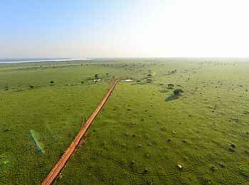 Murchison Falls Ballonfahrt: Blick zum Nil
