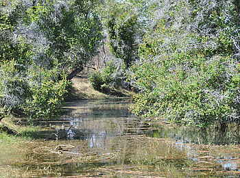 Nanzhila Plains Safari Camp: Drainage-Rinne Nanzhila Plains Safari Camp: Drainage-Rinne