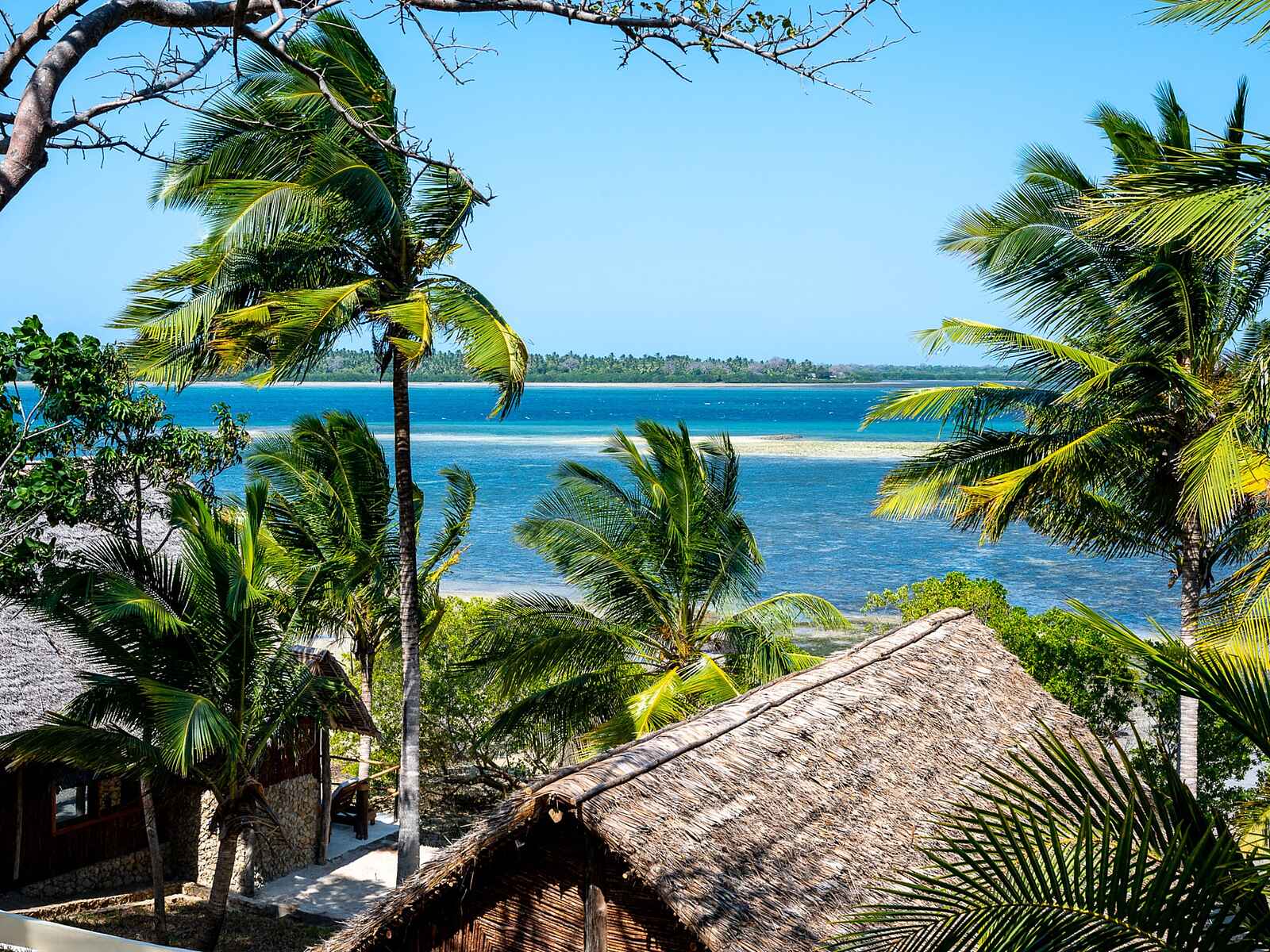 Pole Pole Bungalows: Direkte Strandlage Pole Pole Bungalows: Direkte Strandlage