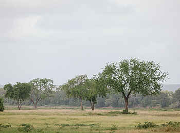 Chilo Ivory Trail Adventure: Runde-Uferzonen