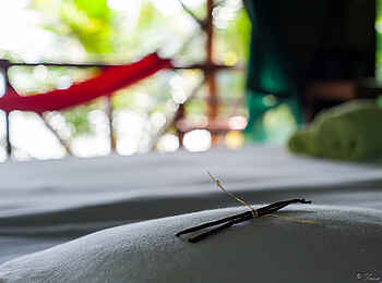 Masoala Forest Lodge: Kissen Masoala Forest Lodge: Kissen