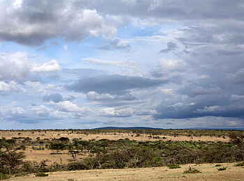Naboisho Camp: Blick in die Landschaft