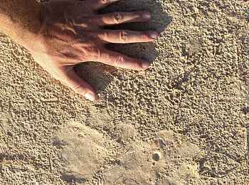 Ntemwa Busanga Bushcamp: Spurensuche