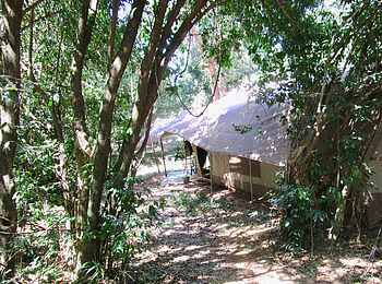 Sentinel Mara Camp: Blick auf Zelt