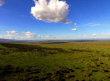 Volcanoes Kyambura Gorge Lodge: Blick zum Lake George Volcanoes Kyambura Gorge Lodge: Blick zum Lake George