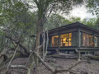 &Beyond Phinda Forest Lodge: Blick auf die Glaswände der Suite