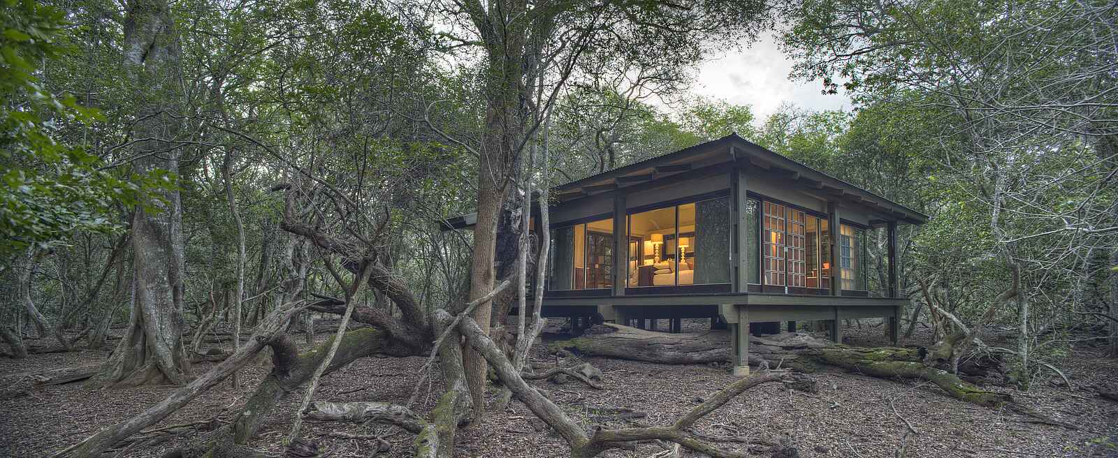 &Beyond Phinda Forest Lodge: Blick auf die Glaswände der Suite &Beyond Phinda Forest Lodge: Blick auf die Glaswände der Suite