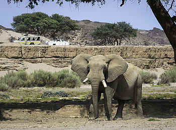 Hoanib Skeleton Coast Camp: Elefantenbegegnung Hoanib Skeleton Coast Camp: Elefantenbegegnung