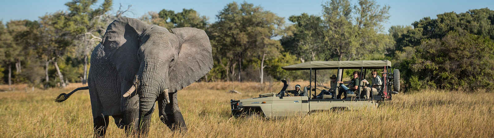 Elephant Pan Camp: Elefantenbegegnung Elephant Pan Camp: Elefantenbegegnung