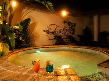 Ilala Lodge: Cocktails am Pool