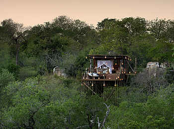 Lion Sands Kingston Treehouse: Blick auf das Baumhaus