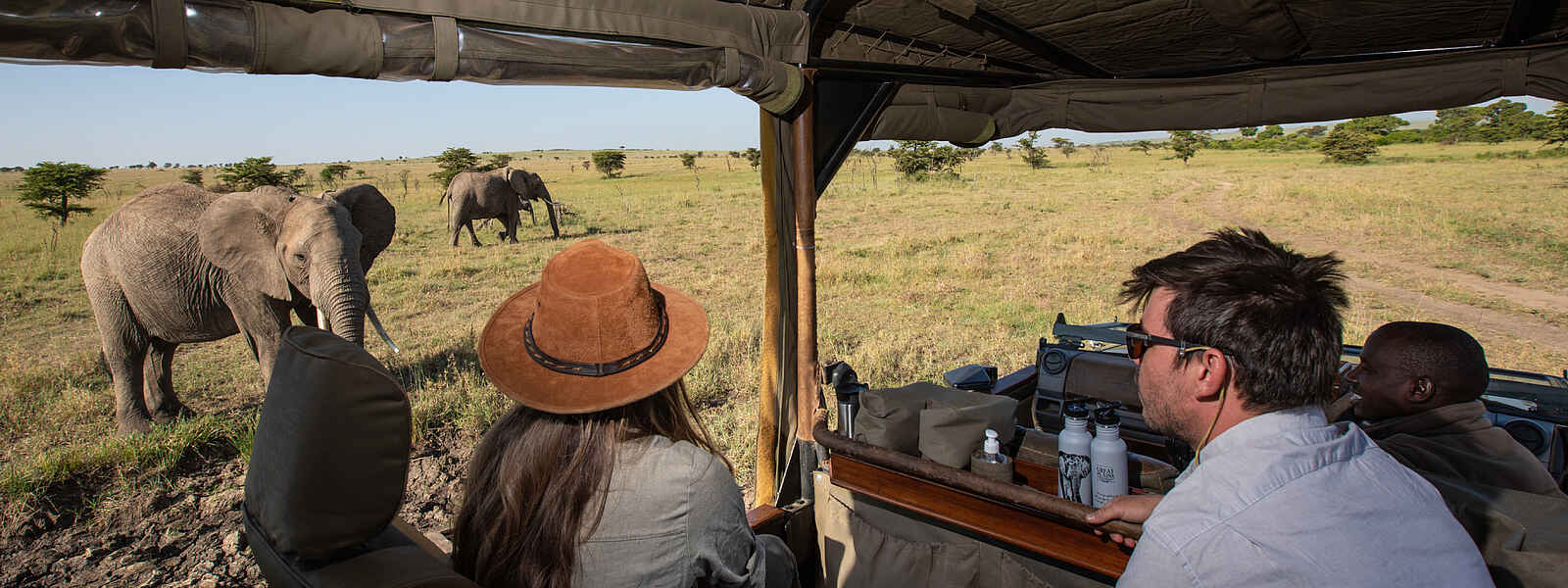 Mara Plains Jahazi Suite: Elefanten in der Masai Mara Mara Plains Jahazi Suite: Elefanten in der Masai Mara