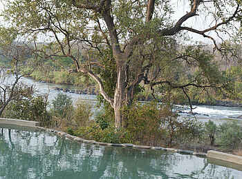 Mkulumadzi Lodge: Swimming Poll mit Blick auf den Fluss