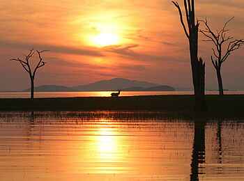 Musango Safari Camp: Abendstimmung am Kariba-See