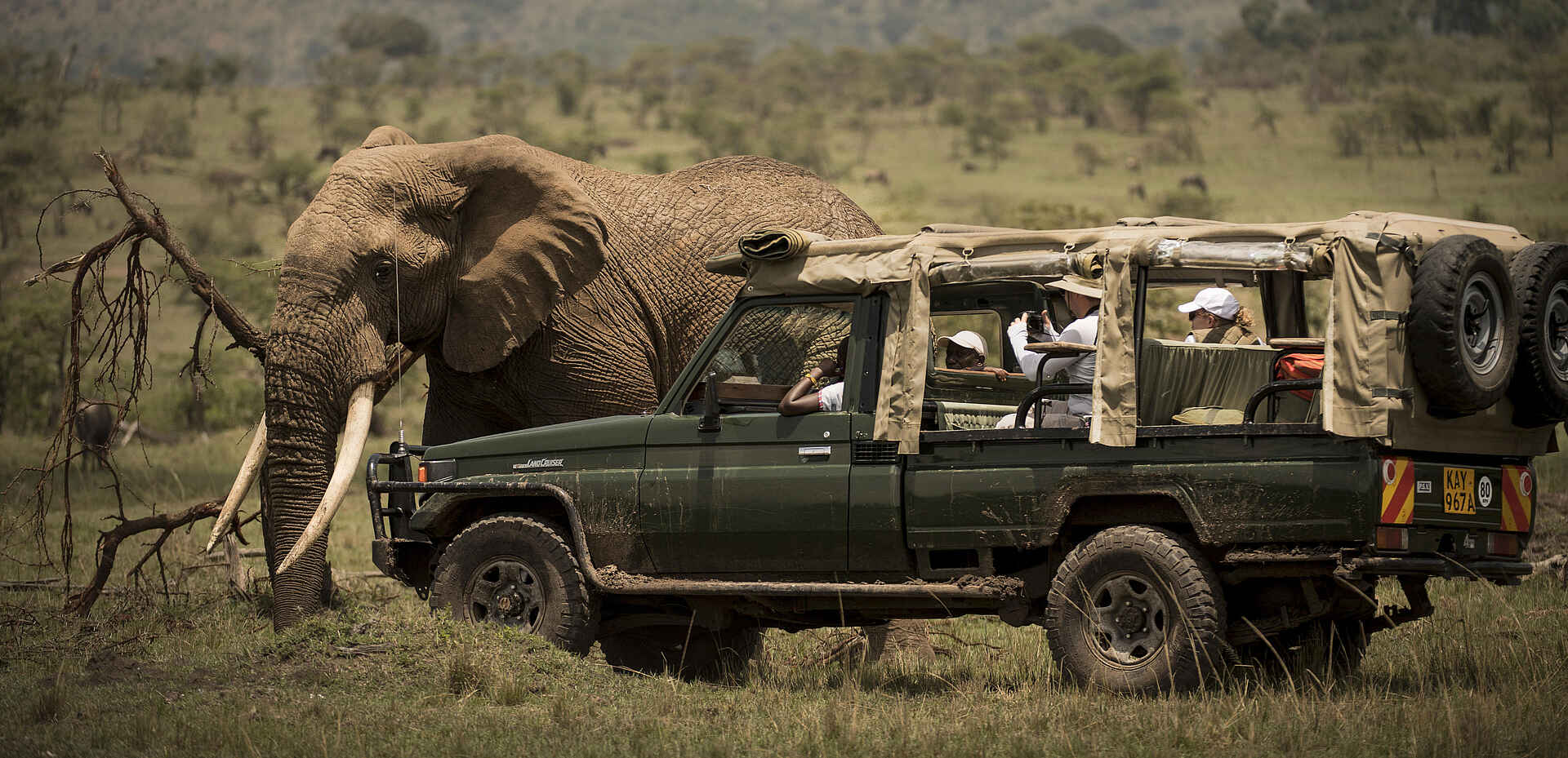 Ngare Serian Camp: Elefant