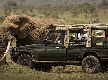 Ngare Serian Camp: Elefant