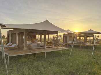 Roving Bushtops Camp: Frontalsicht der Familienzelte