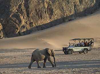 Damaraland Camp: Elefant im Huab-Tal
