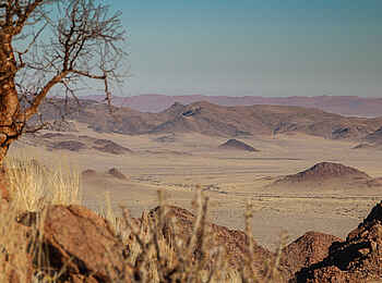 Desert Homestead Outpost: Wüstenlandschaft
