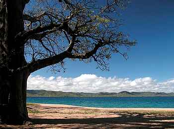 Kaya Mawa: Baobab am Seeufer