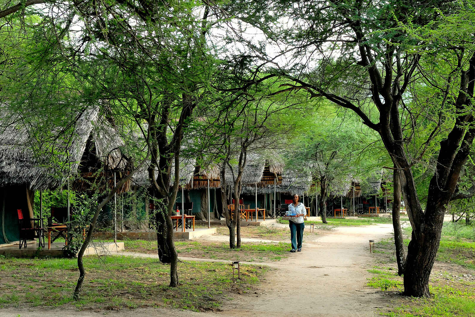 Tarangire Safari Lodge: Zelte Tarangire Safari Lodge: Zelte