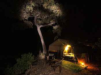 Chilo Mahove Tented Camp: Beleuchteter Baum Chilo Mahove Tented Camp: Beleuchteter Baum