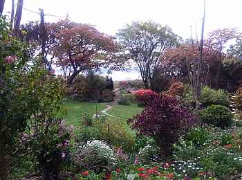 Clever's Lake View Resort: See hinter dem Garten Clever's Lake View Resort: See hinter dem Garten