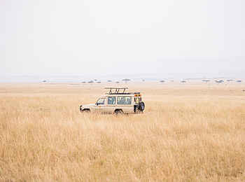 Mara Serena Safari Lodge: Auf der Pirsch Mara Serena Safari Lodge: Auf der Pirsch