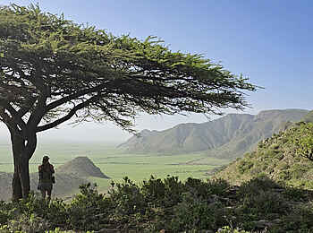 Charlie Sanjan Safari Camp: Ausblick