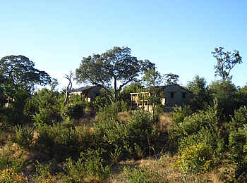 Chobe Elephant Camp: Lage am Hang Chobe Elephant Camp: Lage am Hang