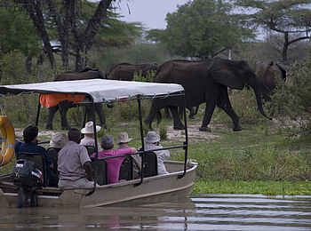Lake Manze Camp: Elefanten vom Boot aus Lake Manze Camp: Elefanten vom Boot aus