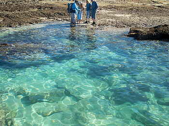 Lekkerwater Beach Lodge: Besuch der Gezeitenpools Lekkerwater Beach Lodge: Besuch der Gezeitenpools